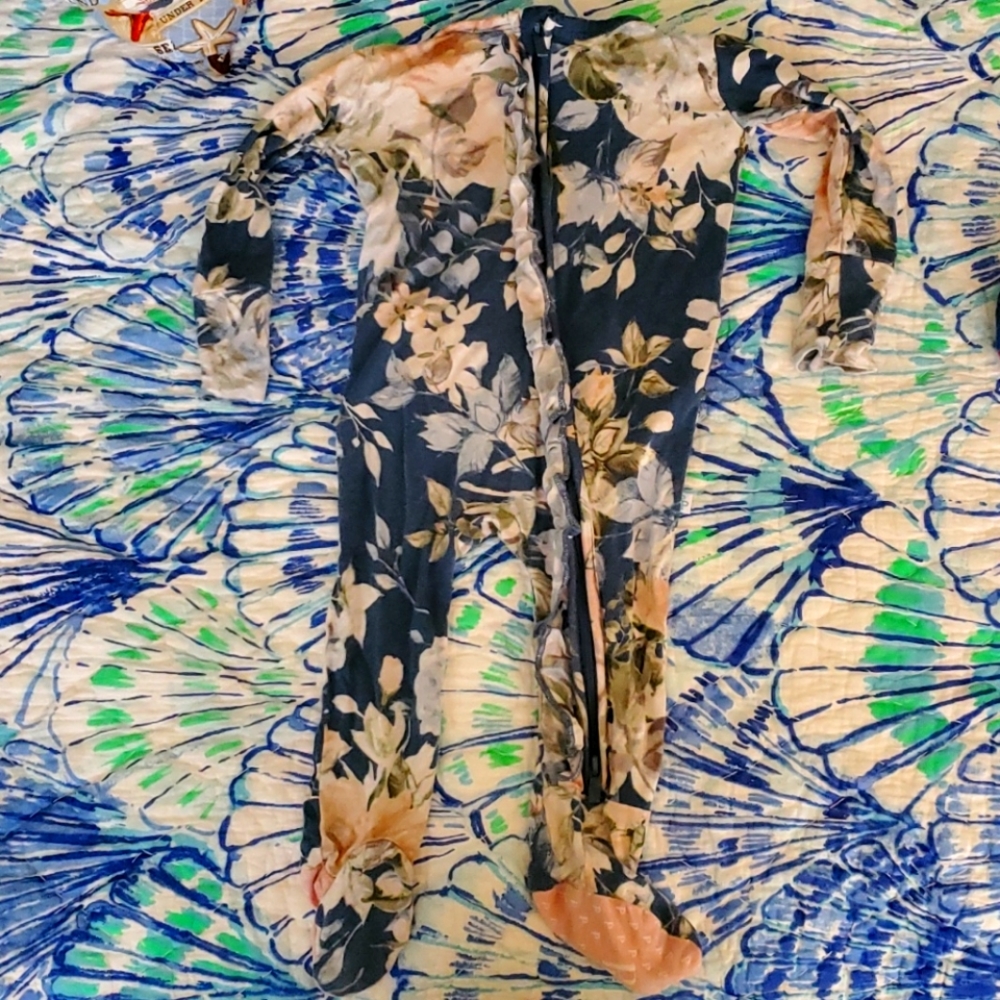 Posh peanut 3-6 month hydrangeas